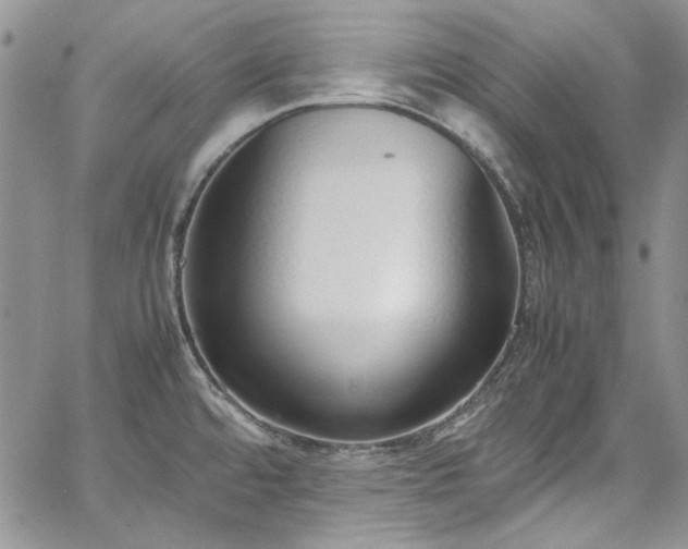 X0000067951480200604201418