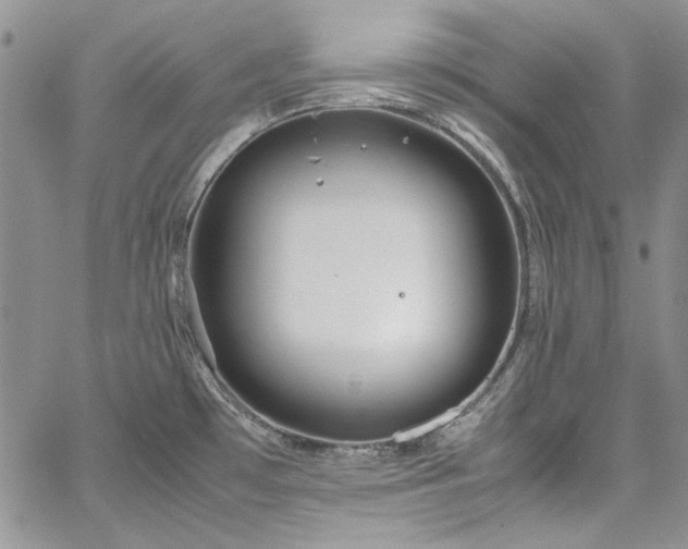 X0000067951481200604201418