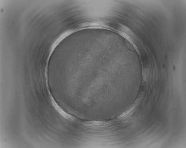 X0000067951482200604201418