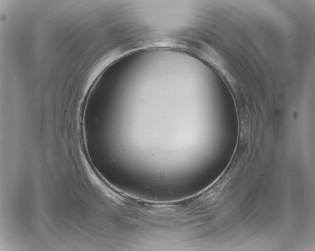 X0000067951483200604201418