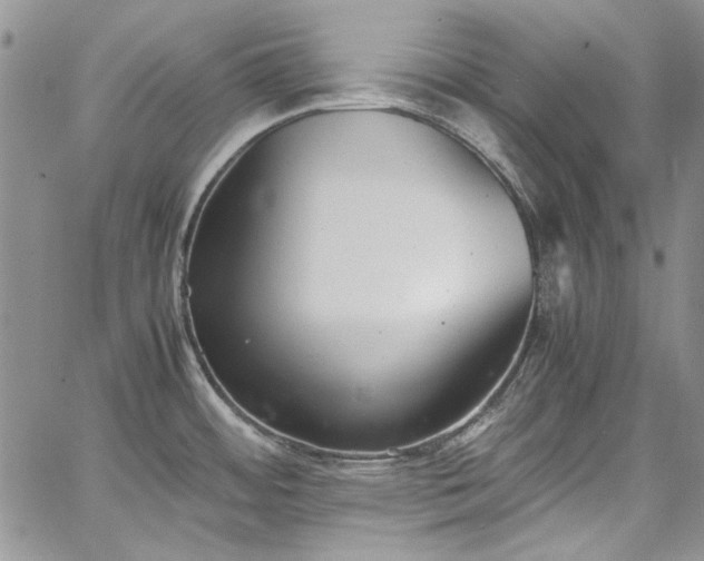 X0000067951484200604201418