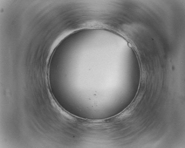 X0000067951486200604201418