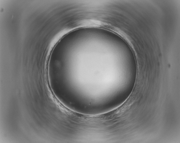 X0000067951488200604201418