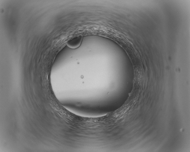 X0000067951489200604201417