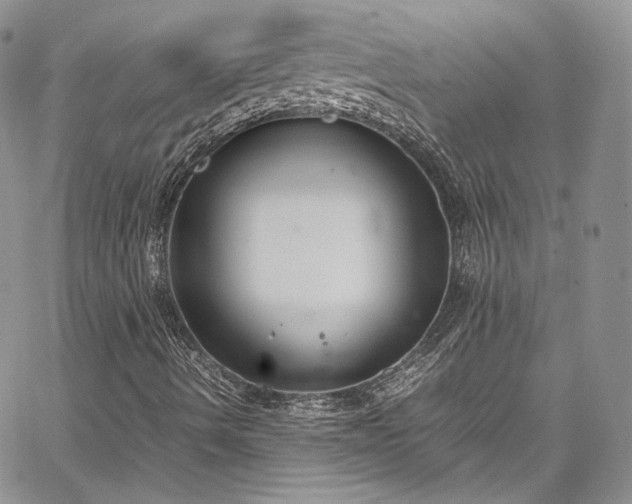 X0000067951490200604201417