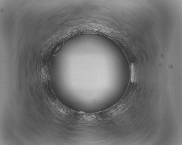 X0000067951491200604201417