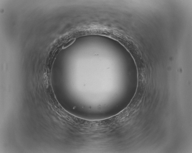 X0000067951493200604201417