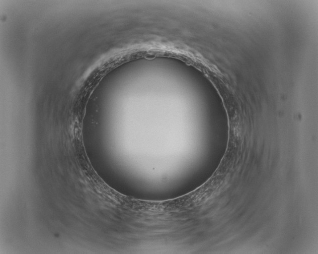 X0000067951495200604201417