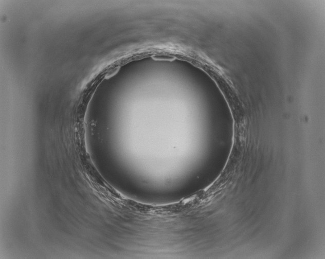 X0000067951496200604201417