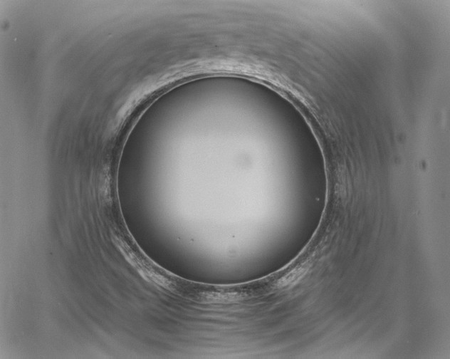 X0000067951499200604201418