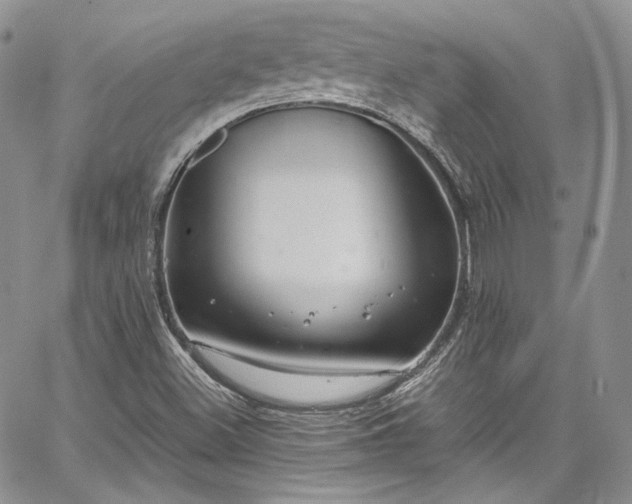 X0000067951500200604201418