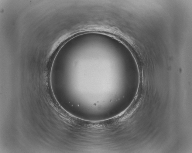 X0000067951501200604201418