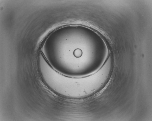 X0000067951502200604201418