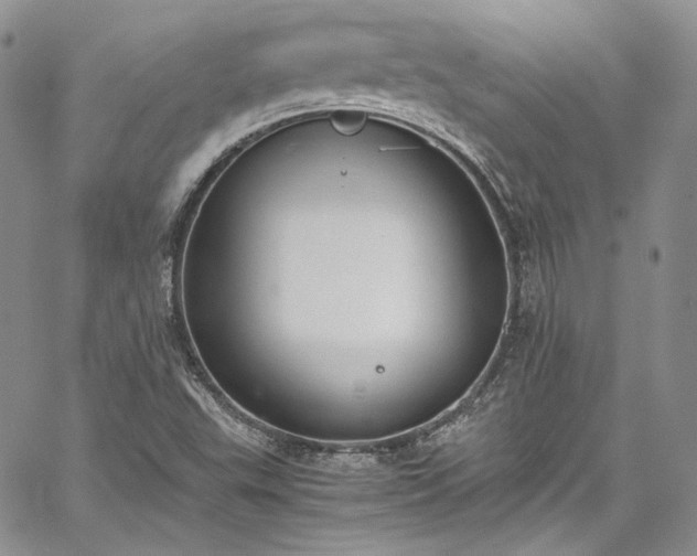 X0000067951503200604201418