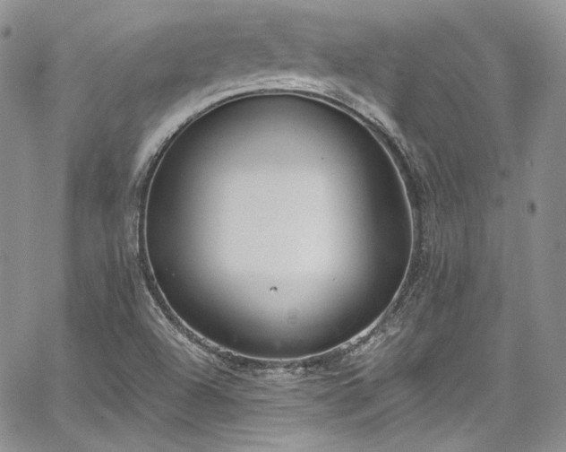 X0000067951504200604201418