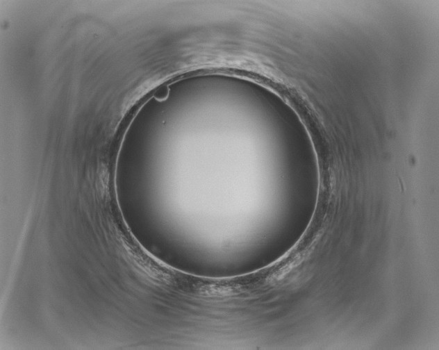 X0000067951505200604201418