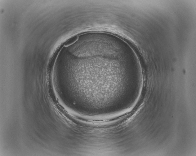 X0000067951506200604201418