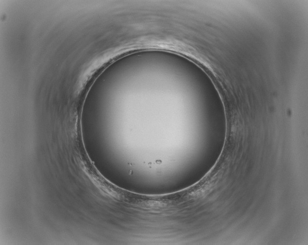 X0000067951507200604201418