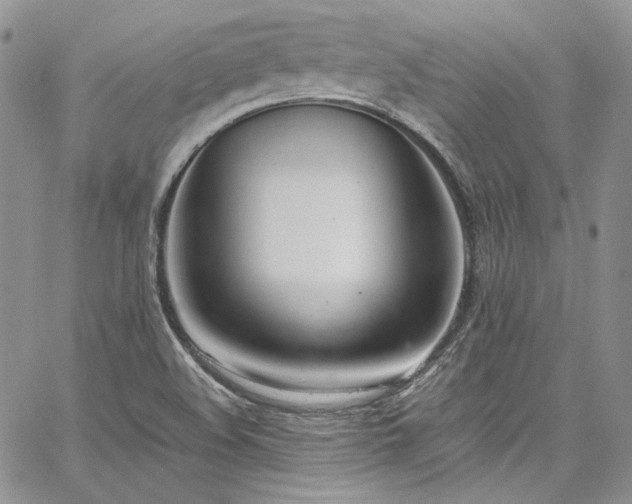 X0000067951508200604201418