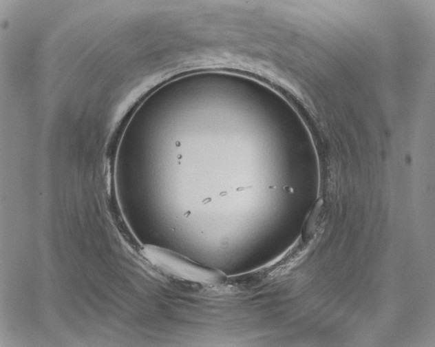 X0000067951509200604201418