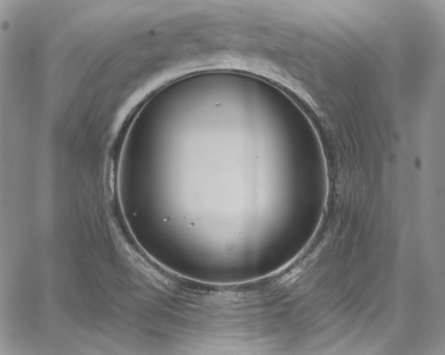 X0000067951510200604201418