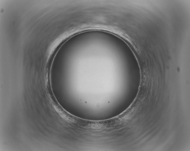 X0000067951511200604201418