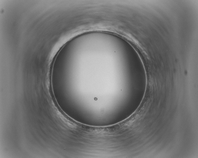 X0000067951512200604201418