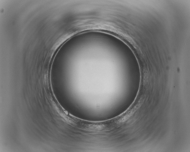 X0000067951513200604201418