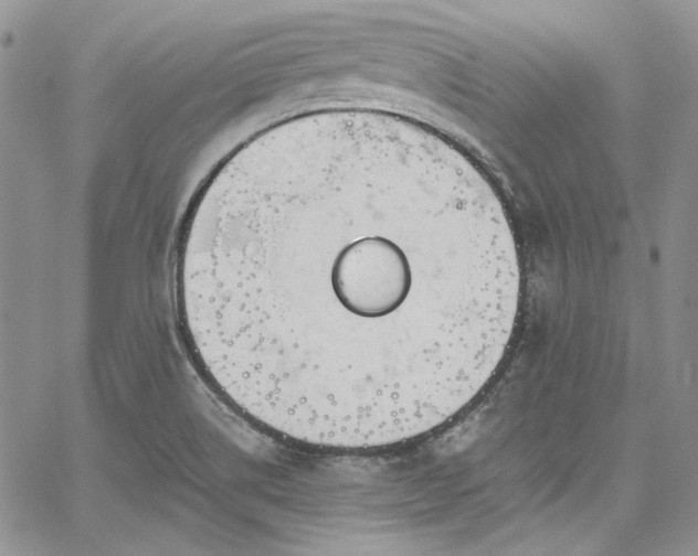 X0000067951514200604201418