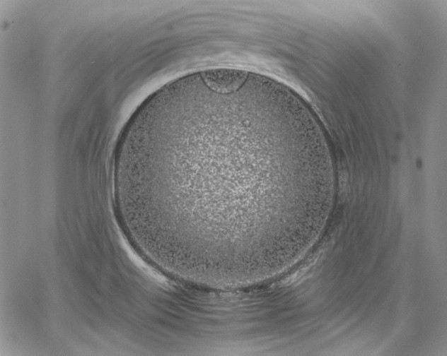 X0000067951515200604201418