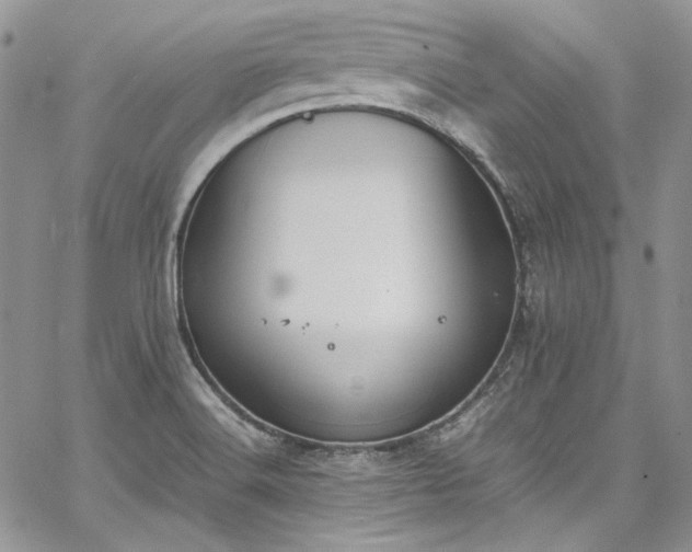 X0000067951516200604201418