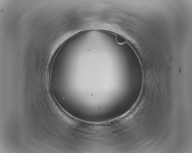 X0000067951517200604201418