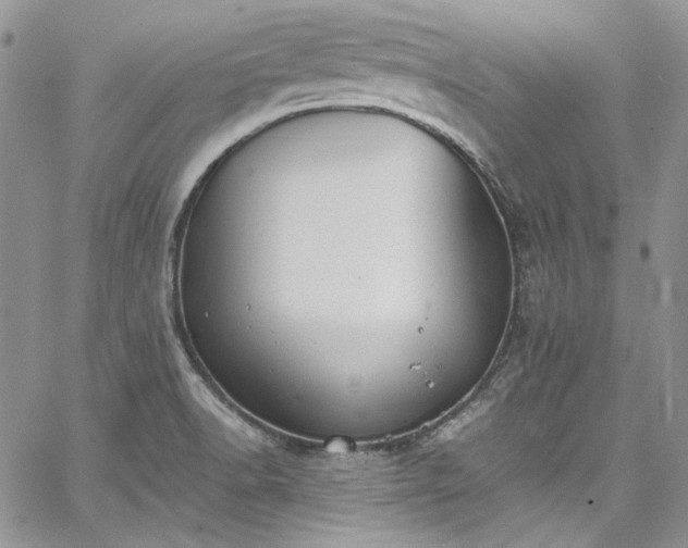 X0000067951518200604201418