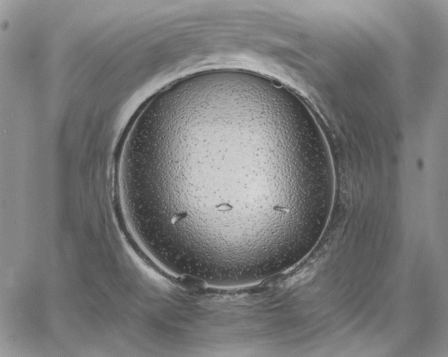 X0000067951519200604201418