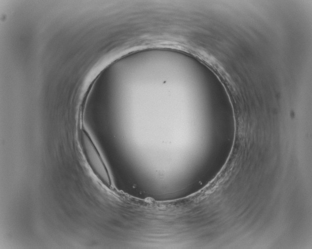 X0000067951520200604201418