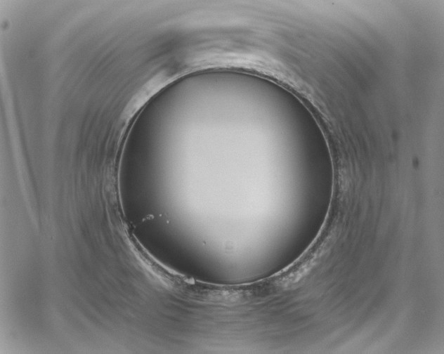 X0000067951521200604201418