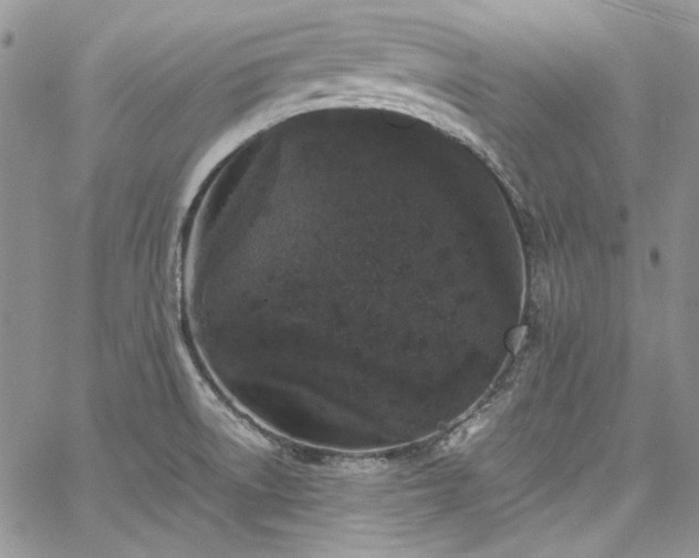 X0000067951522200604201418