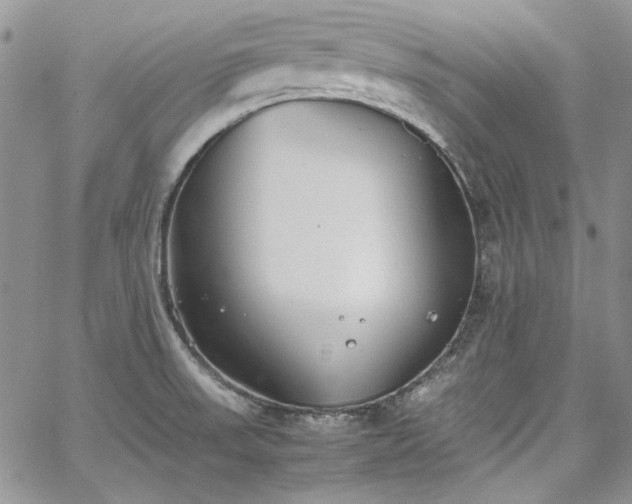 X0000067951523200604201418