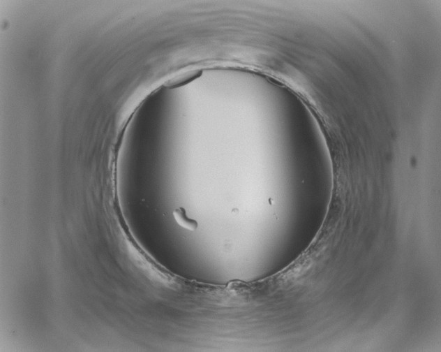 X0000067951524200604201418