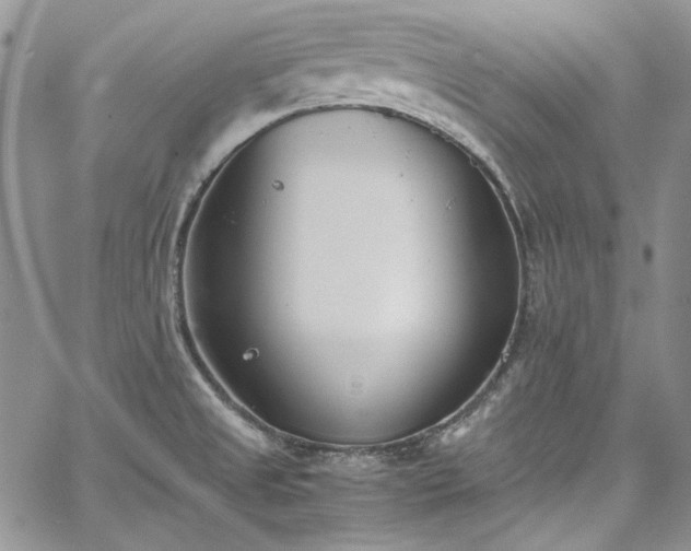 X0000067951525200604201418