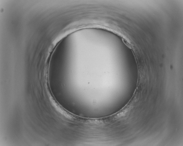 X0000067951526200604201418