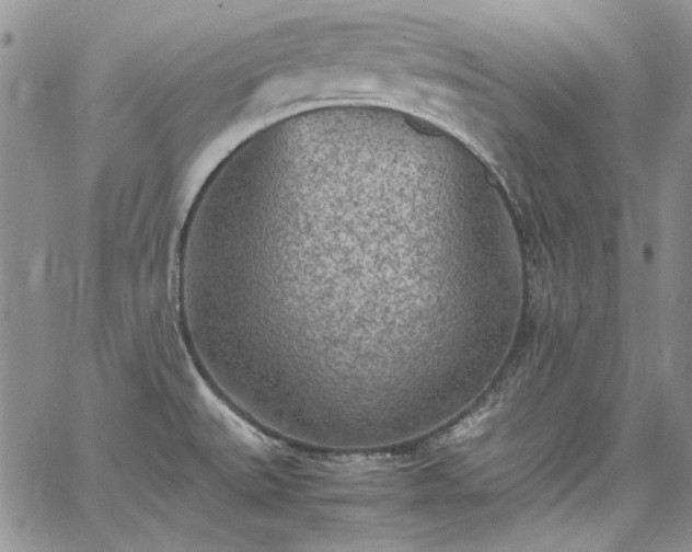 X0000067951527200604201418