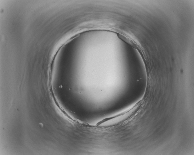 X0000067951528200604201418