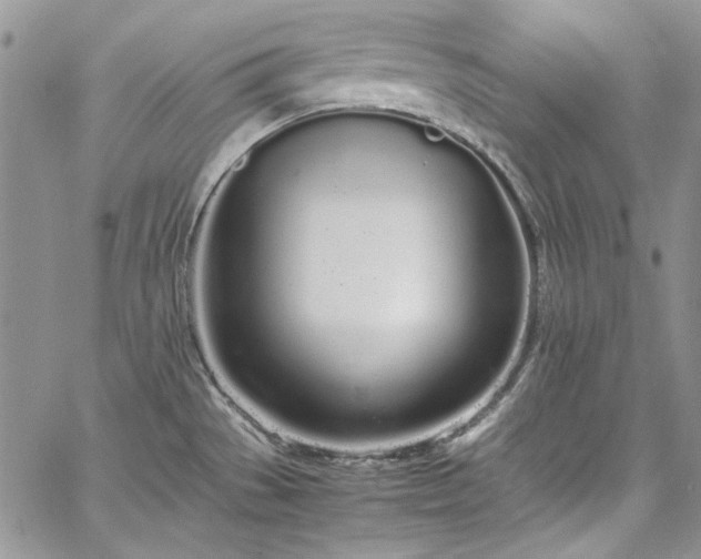 X0000067951529200604201418