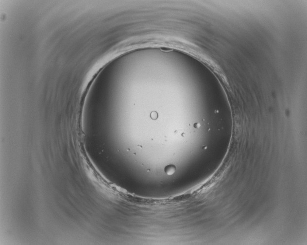 X0000067951530200604201418