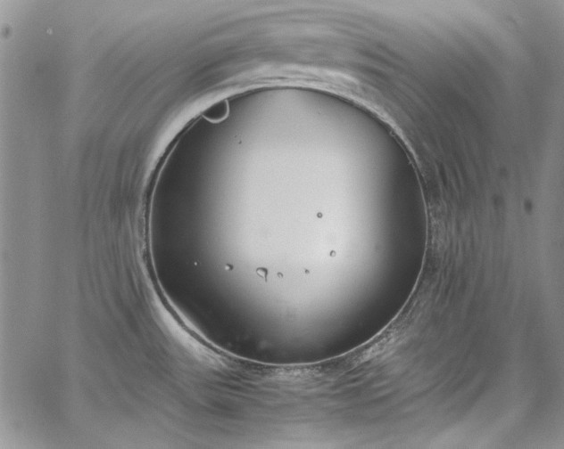 X0000067951531200604201418