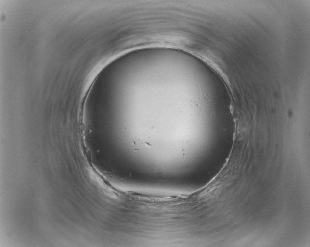 X0000067951532200604201418