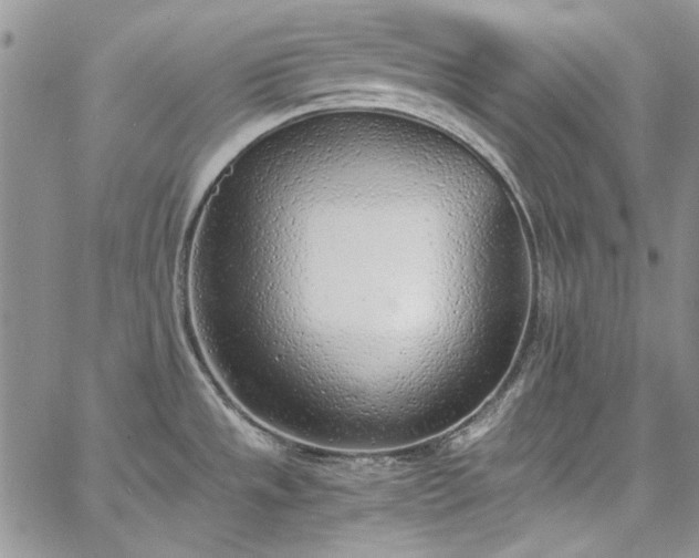 X0000067951533200604201418