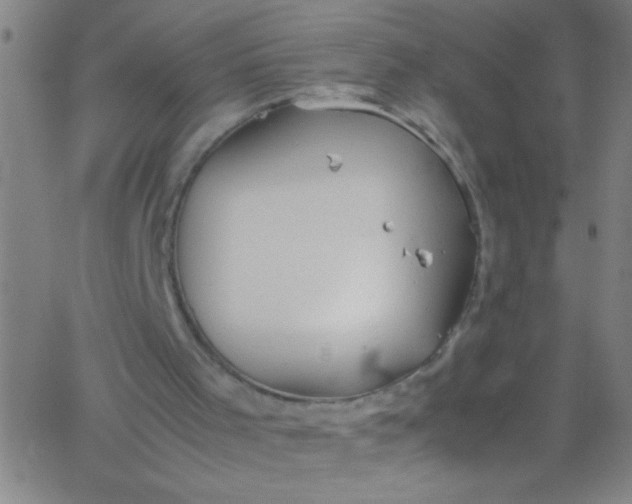 X0000067950001200604272111