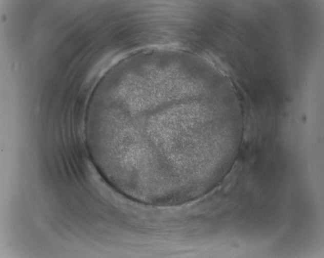 X0000067950002200604272111